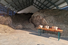 Exkursion-2024-4ab_29