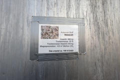 Exkursion-2024-4ab_9