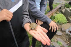 Regenwandertag-2ab_33