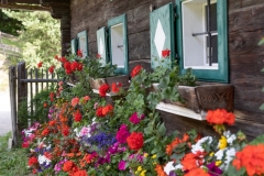 Stuebing_2023_2ab_29