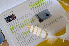 Karneval_Venedig_2026_6