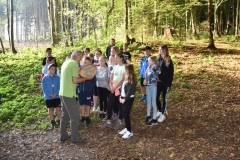 Waldtag