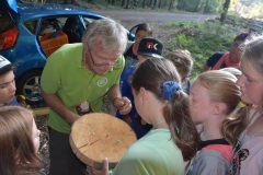 Waldtag_2