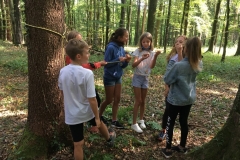 Waldtag_25