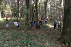 Waldtag_28
