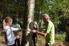 Waldtag_7